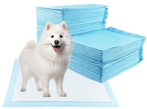 Baxcdyswe 60 Unidades Empapadores Perros, 60 x 90 cm Alfombrillas Higiénica Desechables para Mascotas, Diseño de 5 Capas a Prueba de Fugas con Superficie de Secado Rápido, Transpirables Resistente