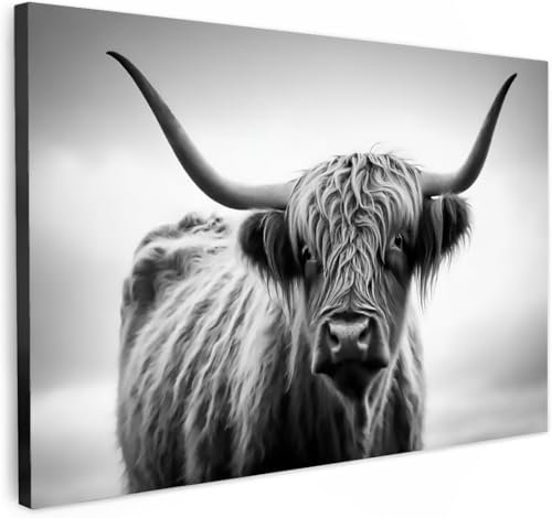 HJYTTX Hochlandrind Wandkunst, Schwarz Weiß Leinwand Bild, Wanddeko Wohnzimmer Aesthetic Room Decor Deko Zimmer Wandbilder Modern Gemälde Wandbild Schottisches Hochlandrind mit Rahmen, 40x60cm