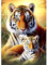 AIRDEA Wildes Tigergras Diamond Painting, 5D Diamant Painting Erwachsene Bilder Malerei Set, Full Mosaikherstellung für Erwachsene, Home Wand Décor 30x40cm