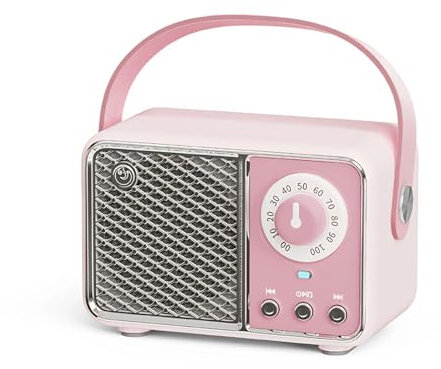 Diyeeni Retro BT Speaker, Portable Cordless Speaker, Cute Old Fashion Style Mini Cordless Speaker for Home Travel Outdoor, 6H Long Playtime, Support 64G TF Card (Roseate)