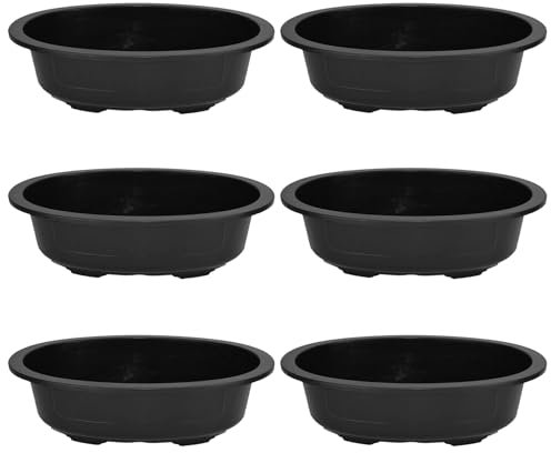 6 Stcs Bonsai Trainingstöpfe 15x11x3.5 in Oval Gartenbonsai Pflanztopf mit Entwässerungsloch PP wiederverwendbare große Blumentöpfe für Garten, Hof, Balkon, Büro, Wohnzimmer, Bonsai Tree Pot