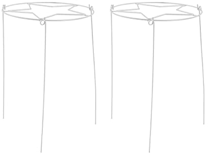 Haofy Pflanzenstützstäbe, 2 Stück, 45 cm, Pflanzenstäbe, Pfingstrosen-Stützringe, Einzelstiel-Blumenstäbe, Metall-Pflanzenstützkäfig für Blumen, Lilie, Orchidee, Rose (Weiß)