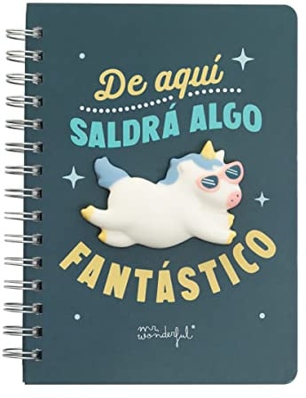 Mr. Wonderful Einhorn Notizbuch - hier kommt etwas Fantastisches