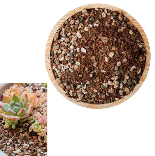 Lava-Mischung für den Garten, Sukkulenten-Kaktus-Topdressing aus natürlichem Bonsai-Gartenkies, Drainagesubstrat für den Garten, 2 Pfund