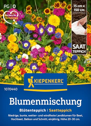 Kiepenkerl Blumensamen-Mischung Blütenteppich 1070440, Sommerblumensaat | Blumenwiese, Höhe 20-30 cm, einjährig, für Beet, Kübel & Hochbeet