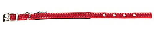 Collare per Cani Riflettente Imbottito DAYTONA DELUXE C15/35, Regolabile, Fibbia in Metallo, Rosso-Nero