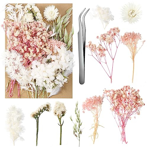 aurorayer Getrocknete Blumen,Natürliche Trockenblumen zum Basteln Trockenblumen Deko für DIY Epoxidharz Kunsthandwerk,Kerzen Deko,Karten Deko,Scrapbooking,Hochzeitsdekoration (Stil A)