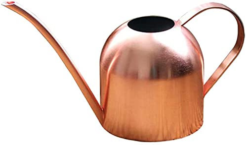 1 regadera de cobre pequeña para plantas de interior y exterior, 1000 ml