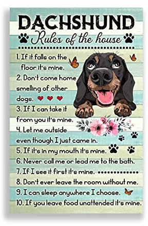 Jigsaw Puzzles 1000 Pieces for Adults Dachshund Rules Wooden Puzzle Dog Paws Sausage Dog for Youth Children Development Toys Games Gift Fun Game Home Decor