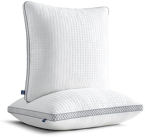 BedStory kopfkissen 50x50 mit abziehbarem Bezug,Verstellbare Faserfüllung Hotel Kissen mit reißverschluss, 2er Set aus 600g x 2 mikrofaser, Waschbares nackenkissen für Allergiker