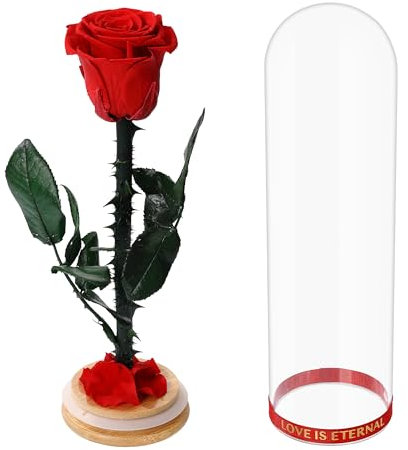 Faneeyo Konservierte Rose Geschenke für Frauen, Geburtstag Weihnachten Jahrestag Hochzeit Geschenk für Mama Freundin Frau Oma, Ewige Rose mit Stiel,Rot
