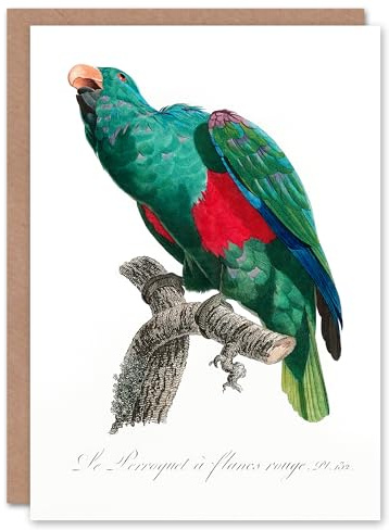 Artery8 Francois Levaillant Art Card Eclectus Roratus Parrot