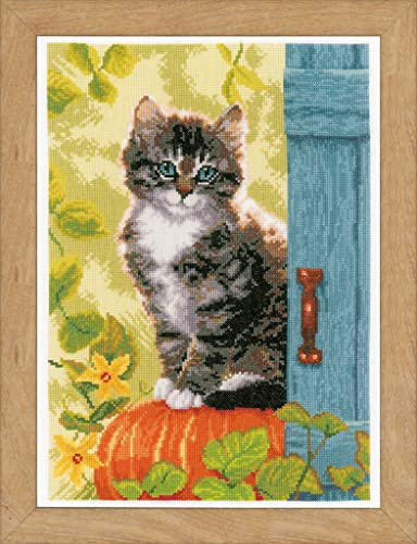 Vervaco Counted Cross Stitch Kit Cat & Pumpkin Aida, Assorted