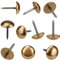 Retro Solid Pure Brass Tacks as Antique Upholstery Nails for Furniture, Decorative Push Pins for Wood,Carpet Tacks,Hardware Nails,Cap Nails,Thumb Tacks,Brass Fasteners(7/10,18mm Gold Color,10 Pcs)