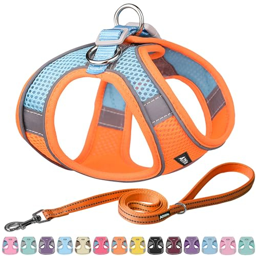 AIITLE Escape Proof Hundegeschirr - Step in einstellbares Hundegeschirr ohne Würgeeffekt mit atmungsaktivem Mesh und Schnellverschluss - Outdoor Walking, Training für mittlere Hunde Orange XL