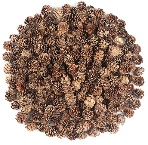 240Pcs Mini Weihnachten Tannenzapfen Natürliche Kiefernzapfen Weihnachten Kiefernzapfen Dekoration für Weihnachtsbaum Dekoration Vasenfüllung DIY Handwerk