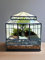 Terrarium in vetro grande dimensione, con elegante struttura nera metallica per Terrarium a Forma di Serra Romantica - Design Unico (Senza Piante) Ideale per creare dei terrarium Fai da te