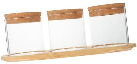 TINEASUR 1 Satz Glasflasche Für Hydrokulturpflanzen Einmachgläser Blumentopf Glaswaren Vase Luftpflanzen Lebende Zimmerpflanzen Mit Halter Luftpflanzen Terrarium Wasserpflanzer Bambus