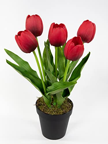 Seidenblumen Roß Künstliche Tulpen PU Real Touch 36cm rot im Topf ZF Kunstblumen künstliche Blumen Tulpen