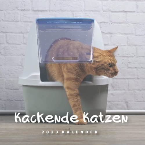 Kackende Katzen Kalender: kalender 2023 - 8.5x8.5 inches - Geschenke für Familie und Freunde