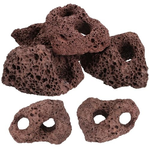 Yardwe Volcanic Stone Colonization Ring Fireplace Decor Bonsai Planter Pot Muicle Plants Volcanic Rock Aquarium BBQ Rock Aquarium Rock for Fish Tank Aquarium Stone 6pcs