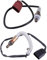 2 Stück lambdasonde vor kat + Nach Kat für 1.2 40/44 KW Fabia 1 2 Polo 9N Ibiza 3 Lambdasonde Diagnosesonde Regelsonde Sensor OZA532-V4 OZA708-EE1 OZA864-EE9 Katalysator Kat Lambdasensor