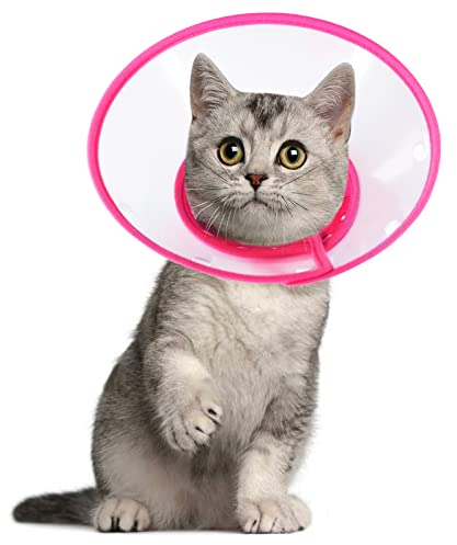 Vivifying Haustier Halskrause, Verstellbar von 14,4-20,3 cm Leichtgewicht Schutzkragen für Welpen, Kleine Hunde und Katzen (Pink-M)