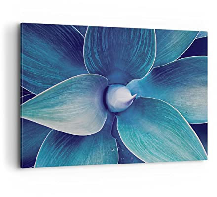 Bilder auf Leinwand 100x70cm Leinwandbild mit Rahmen Agave Blau Blume Groß Wanddeko Bild Schlafzimmer Küche Deko Wandbilder Dekoration Wohnzimmer Wall Decor Canvas Wand Kunstdruck Art AA100x70-4972