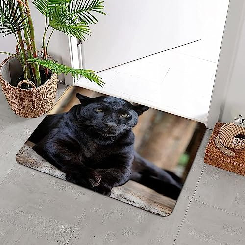 ERICAT Badteppich rutschfeste,Schwarzer Leopard Afrika Natur fleischfressend wie Schnurrbart aufmerksam lustig,Wasserabsorbierend Badematte maschinenwaschbar Badvorleger für Dusche,Badewanne,40x60cm