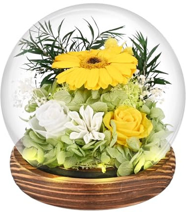 Comius Sharp Regali di girasoli per donne, Girasoli Infiniti Eterni in Vetro, girasole stabilizzato, Fiori Regalo di Compleanno Ispiratore del Sole per Amica Mamma Nonna Insegnante Fidanzate (C)