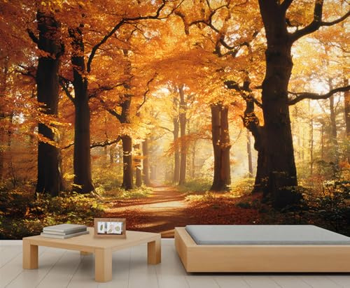 Wandtapete Herbstwald, Herbstbäume, natürliche Landschaft, gefallene Blätter, Weg, Landschaft, Jungen-Tapete für Kinderzimmer, Wohnzimmer, Sofa, TV-Hintergrund, Wandbild, Poster, 250 x 175 cm