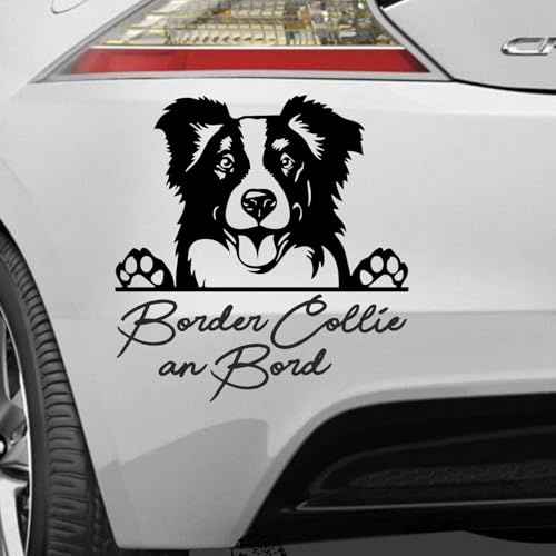 Pegatina Promotion On Board an Bord Border Collie Aufkleber Auto Wohnmobil Laptop Wandtattoo Sticker Farbe&Grüße wählbar