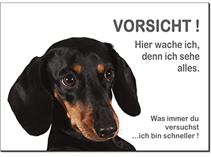 Desi-Schilder Dackel-Hier wache ich-Schild-300 x 200 x 3 mm Aluminium Verbund-Hund-Tierschild-Warnschild-Hinweisschild (1451-122=30 x 20 cm m. 4 Löcher)