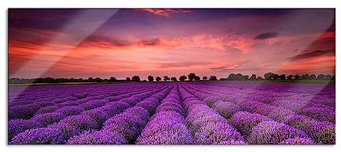 Pixxprint Glasbild Panorama, Wandbild aus Echtglas, Wunderschöne Lavendel Provence, 100x40 cm, inkl. Aufhängung und Abstandshalter
