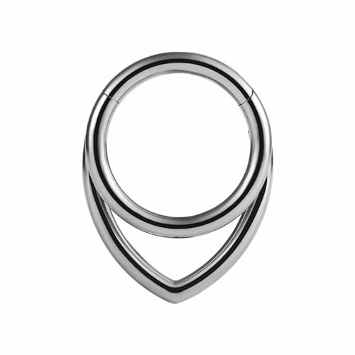Vankula Septum Piercing Ringe aus G23 Titan Hinged Segmentring Clicker 10mm 16g Helix Nase Tragus Daith Piercing Schmuck für Frauen und Männer Silber