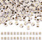Craftdady 1300 Stück Acryl Alphabet Würfel Perlen Weißgold Buchstaben A-Z lose Abstandshalter Perlen 6 mm für DIY Armband Halskette Schmuck Basteln Loch: 3,5 mm