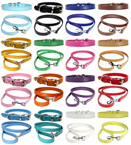Vibrant Hundehalsband und Leine aus Leder, Kombi-Set für Welpen, Hunde, S, M und L (XS (20 cm – 26 cm Hals), Weiß