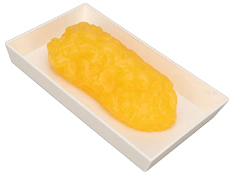 Menschliches Körperfett-Modell, Menschliches Körperfett-Modell, Anatomisches Fettmodell, um Fit zu Bleiben, Fettgewebe-Demonstrationsmodell für Ernährungswissenschaftler,