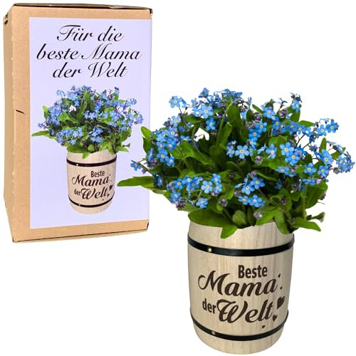 Anzuchtset Beste Mama der Welt mit Blumensamen Vergissmeinnicht, Geschenk für Mama, Muttertag