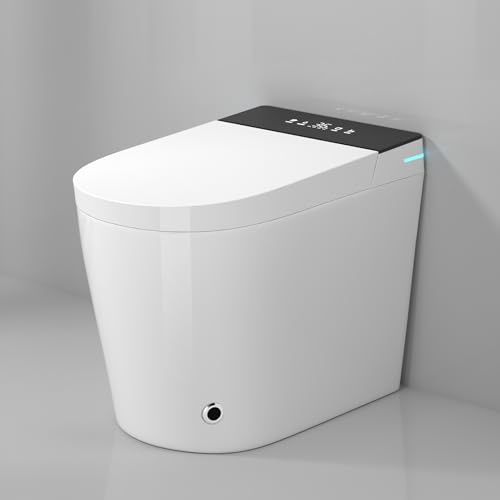 WinZo - 23 Compact Smart Toilet with Built-in Bidet Seat for Small Bathroom, Auto Wash, LED Night Light, Heated Bidet with Hot Air Drying (White with Panel