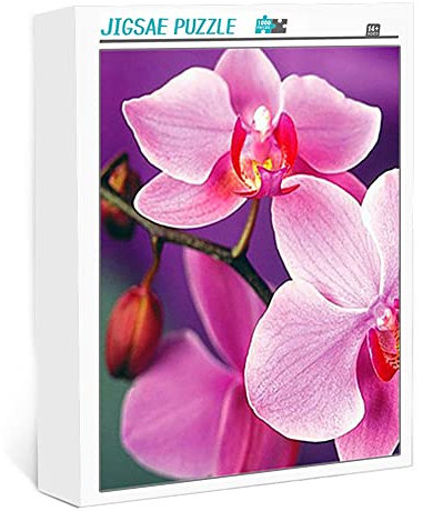 1000 Teile Puzzle für Erwachsene Orchidee Klassisches Puzzle Herausforderung und Stressabbau Spielzeugpuzzle Puzzle für Kinder und Erwachsene (75x50cm)