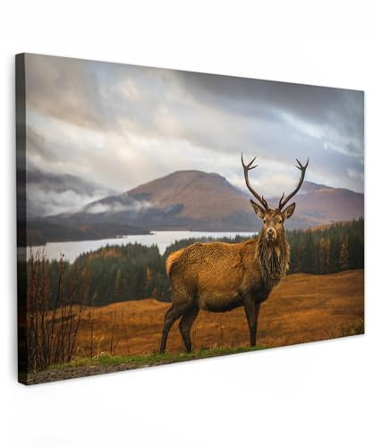 MuchoWow© Impression sur Toile Photo Peinture 120x80 cm Tableau Decoration Murale Chambre Salon Maison Deco Cuisine Cerf - Montagne - Eau - Paysage - Animaux - Arbres