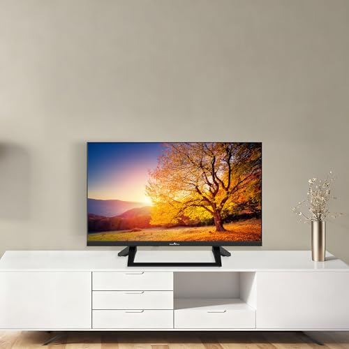 Smart Tech TV LED HD 24 (60 cm) Smart TV Google 24HG01VC Chargeur de véhicule 12v fourni, HDMI, USB, Résolution: 1366 * 768