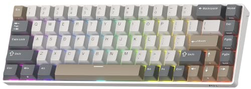 RK ROYAL KLUDGE RK68 65% RGB Wireless Mechanical Keyboard for Gaming, Work | 68 Keys Compact TKL Tri-Mode BT/2.9GHz/USB-C Gaming Keyboards for Mac/Win, Hot Swappable, Custom Switch, Software Support