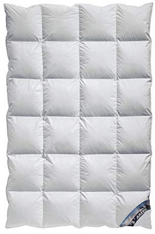 betten-traum-land ARKTIC Kassetten Daunendecke Übergang 100% Daune 100% Natur (200x220 cm)
