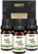 BRUBAKER Cosmetics 3er-Set Salbei Öl - Prüfungen, stressige Situationen & Stärkung des Gedächtnisses - Ätherische Öle Aromatherapie Geschenkset 3 x 10 ml Salbeiöl Vegan