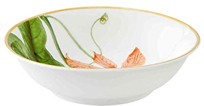 Vista Alegre Amazonia - Frutero de porcelana de 5 pulgadas, 7 onzas