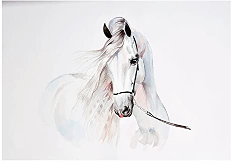 WallArena - Vlies Fototapete Kinderzimmer 416x290 cm Pferde Mädchen weiß Pferd für Kinder - Fototapeten Tapeten für Kinder Kindertapete Kinderzimmertapete - Vliestapete Wandtapete Tapete 3D Effekt