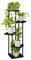 Bamworld Support d'angle pour plantes d'intérieur, étagère en métal à 5 niveaux pour plusieurs plantes, support de fleurs haut pour terrasse, jardin, balcon, salon, chambre à coucher (noir)