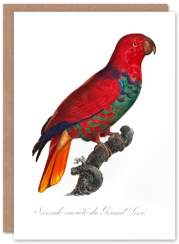 Artery8 Francois Levaillant Art Card The Eclectus Parrot
